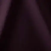 500006 - VIOLA